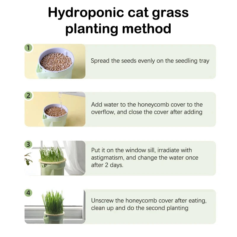 Cat Grass Grow Box – Soil-Free Natural Grass for Cats