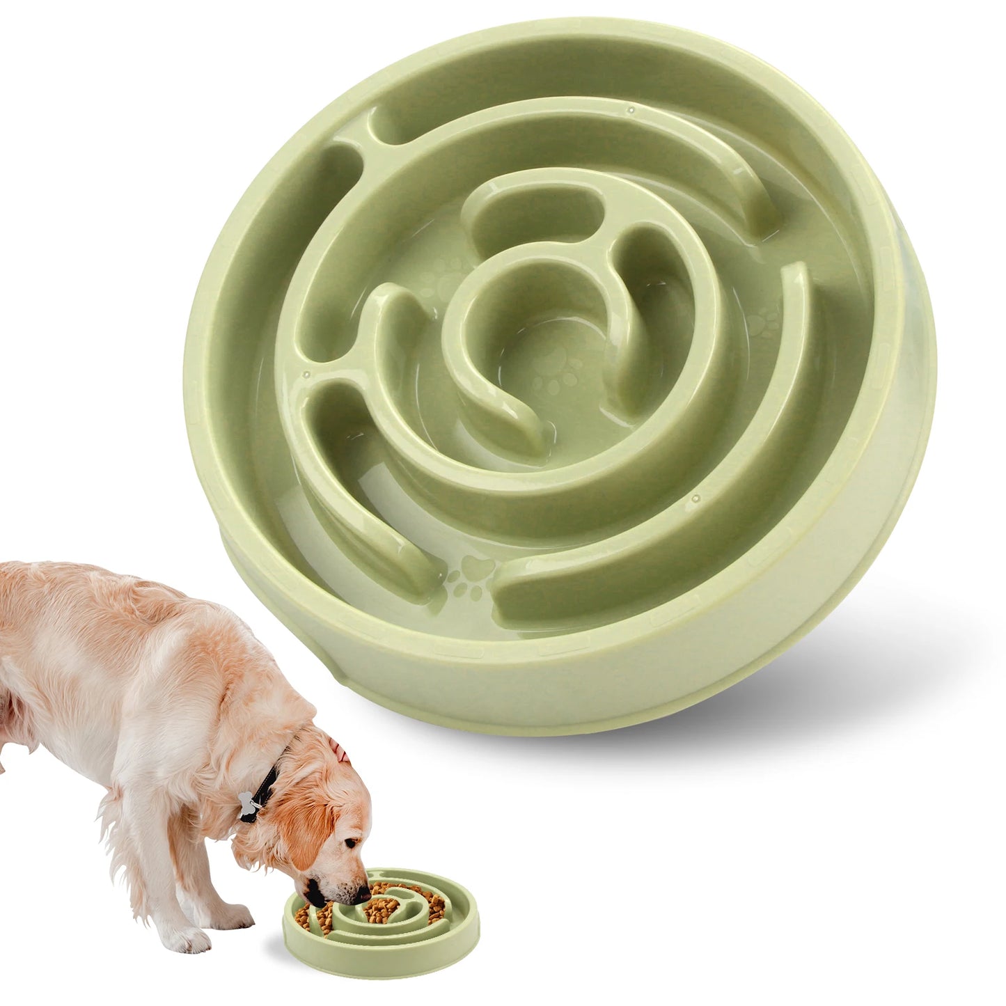 Anti-Gulping Slow Feeder Bowl for Dogs & Cats