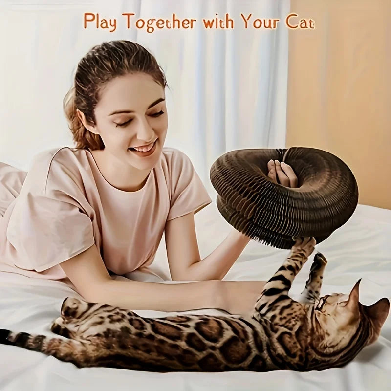 Interactive Cat Scratcher & Teaser Board – Durable Fun for Cats