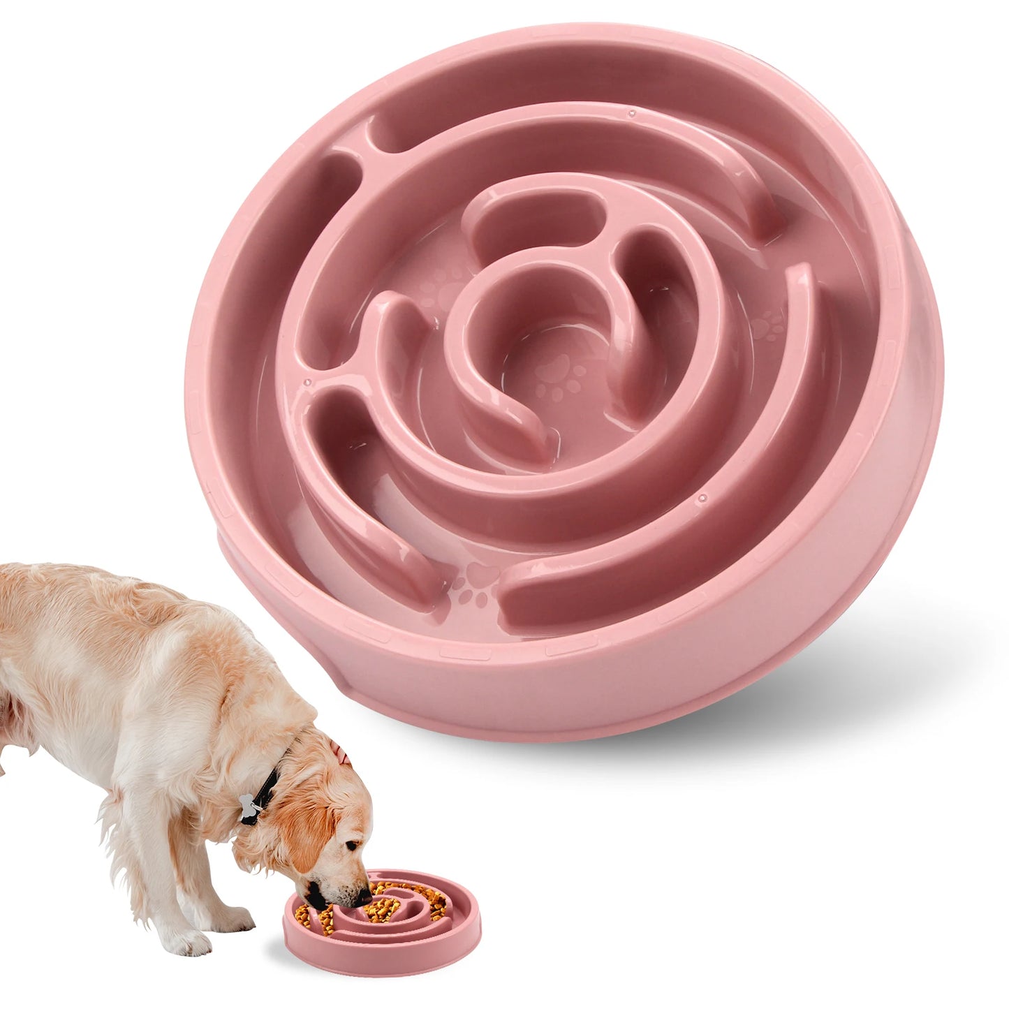 Anti-Gulping Slow Feeder Bowl for Dogs & Cats