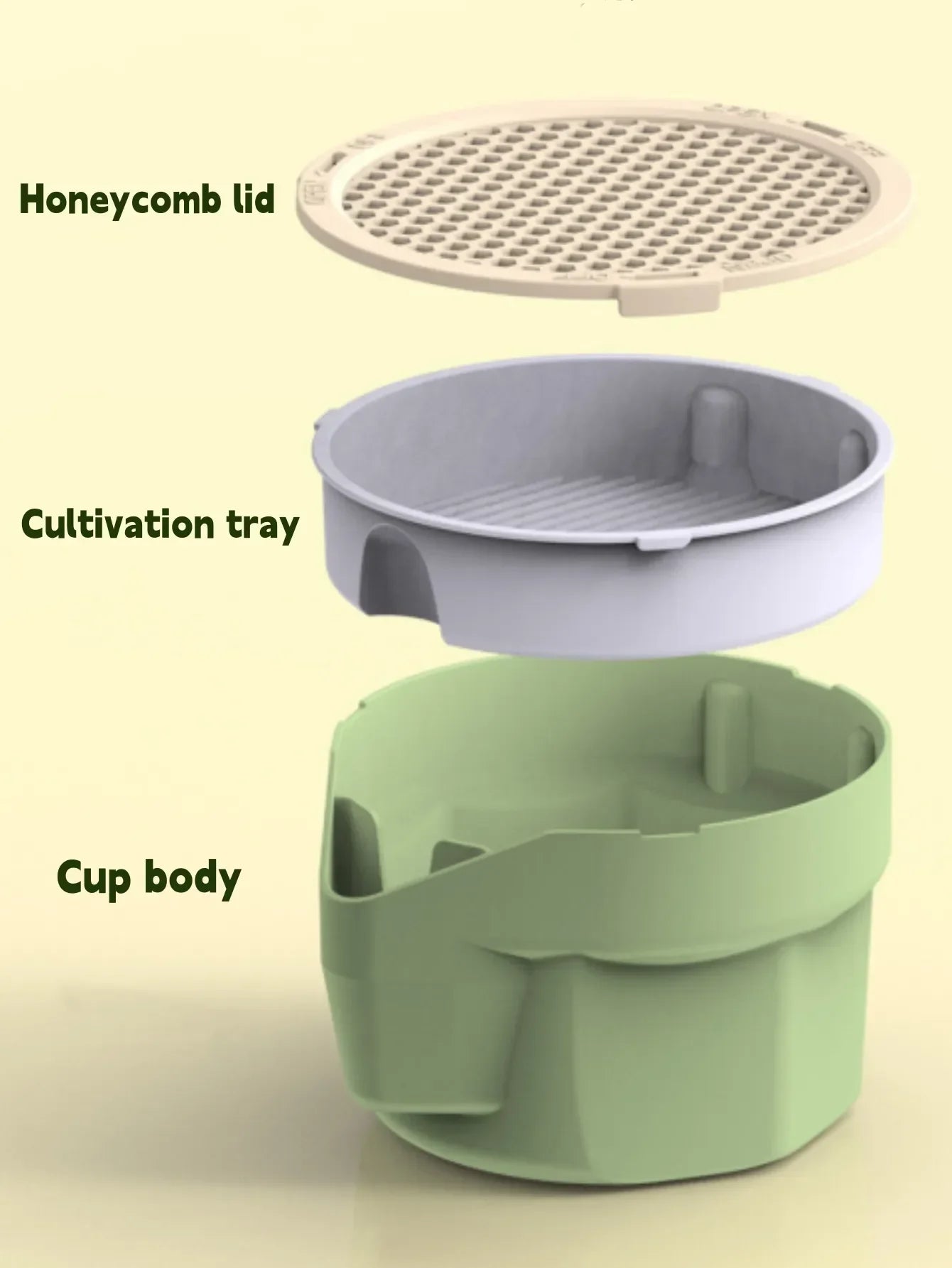 Cat Grass Grow Box – Soil-Free Natural Grass for Cats