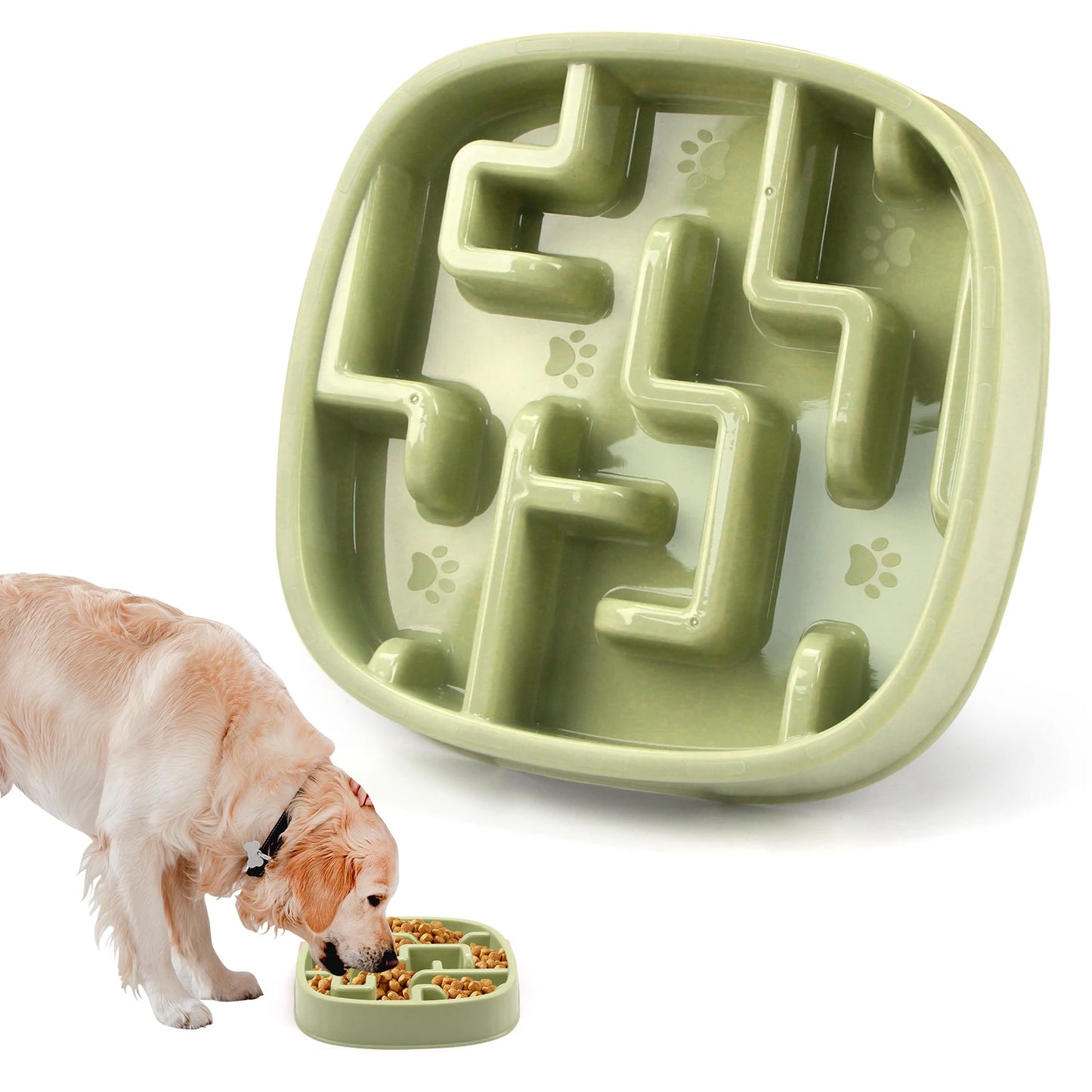 Anti-Gulping Slow Feeder Bowl for Dogs & Cats