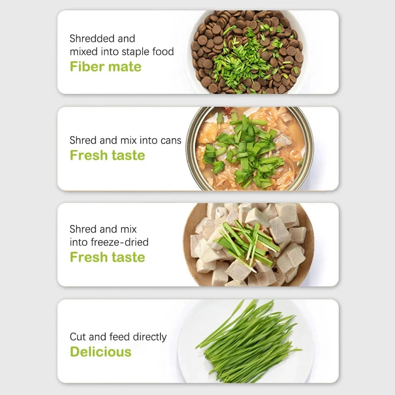 Cat Grass Grow Box – Soil-Free Natural Grass for Cats