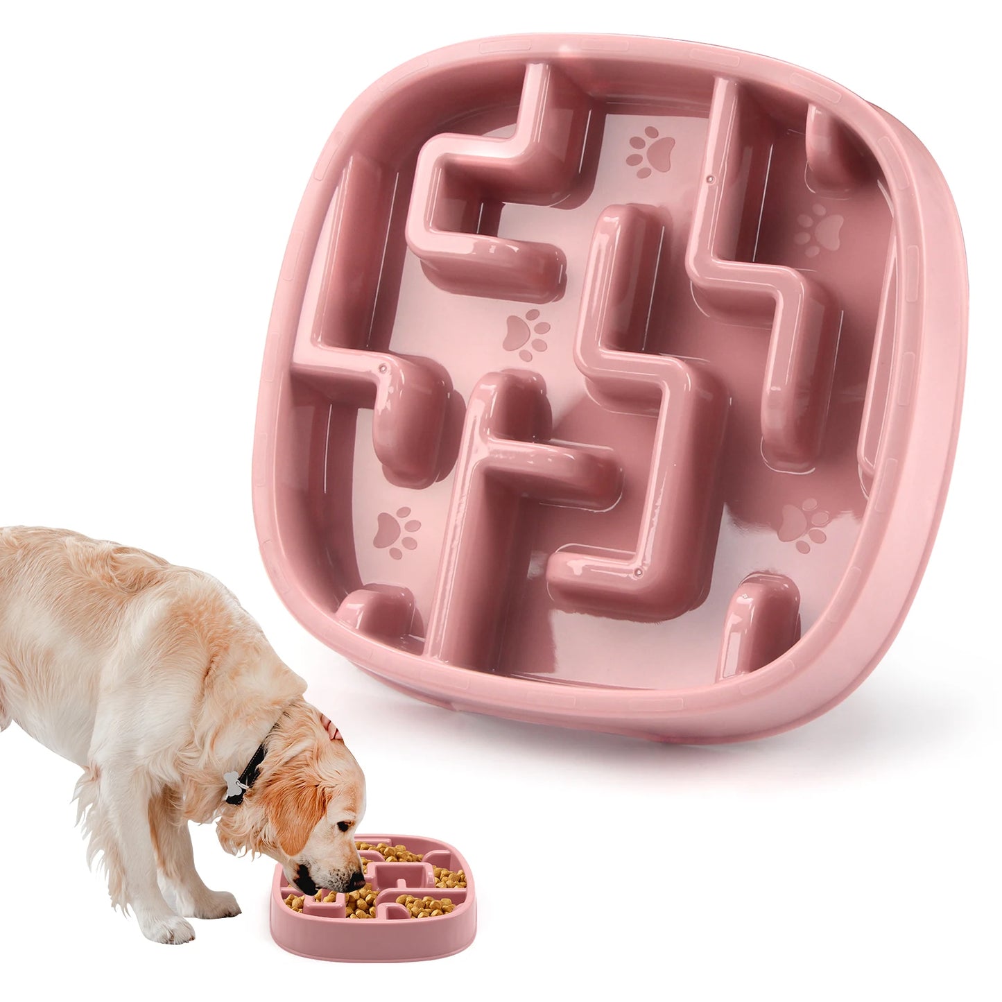 Anti-Gulping Slow Feeder Bowl for Dogs & Cats