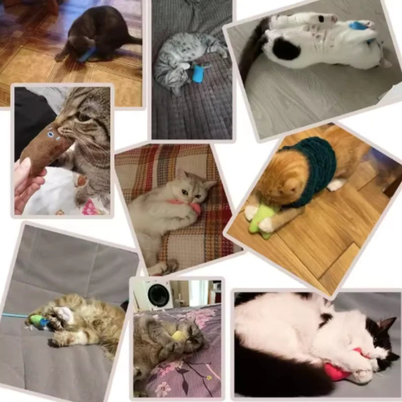Interactive Catnip Plush Toy – Fun Chewing & Clawing for Cats